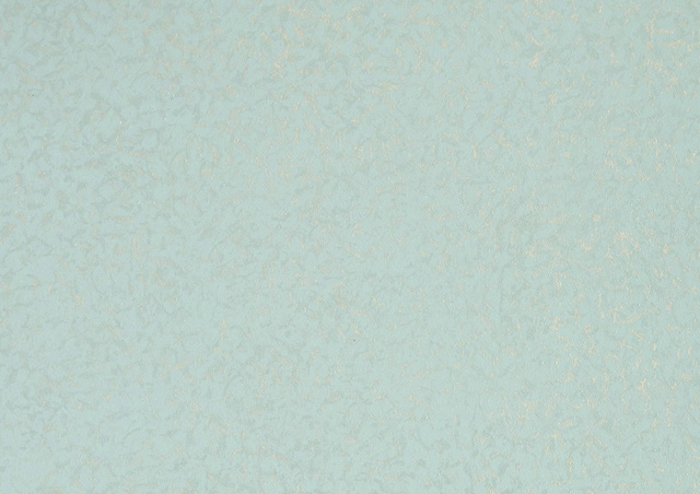 ɫ